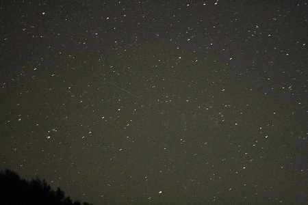 Perseid on August 12, 20:19 UT and satellite above uploaded by Oleg Tarasov