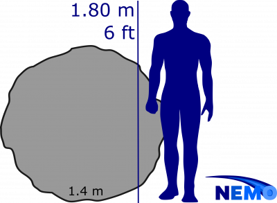 Asteroid size with a human for scale.
