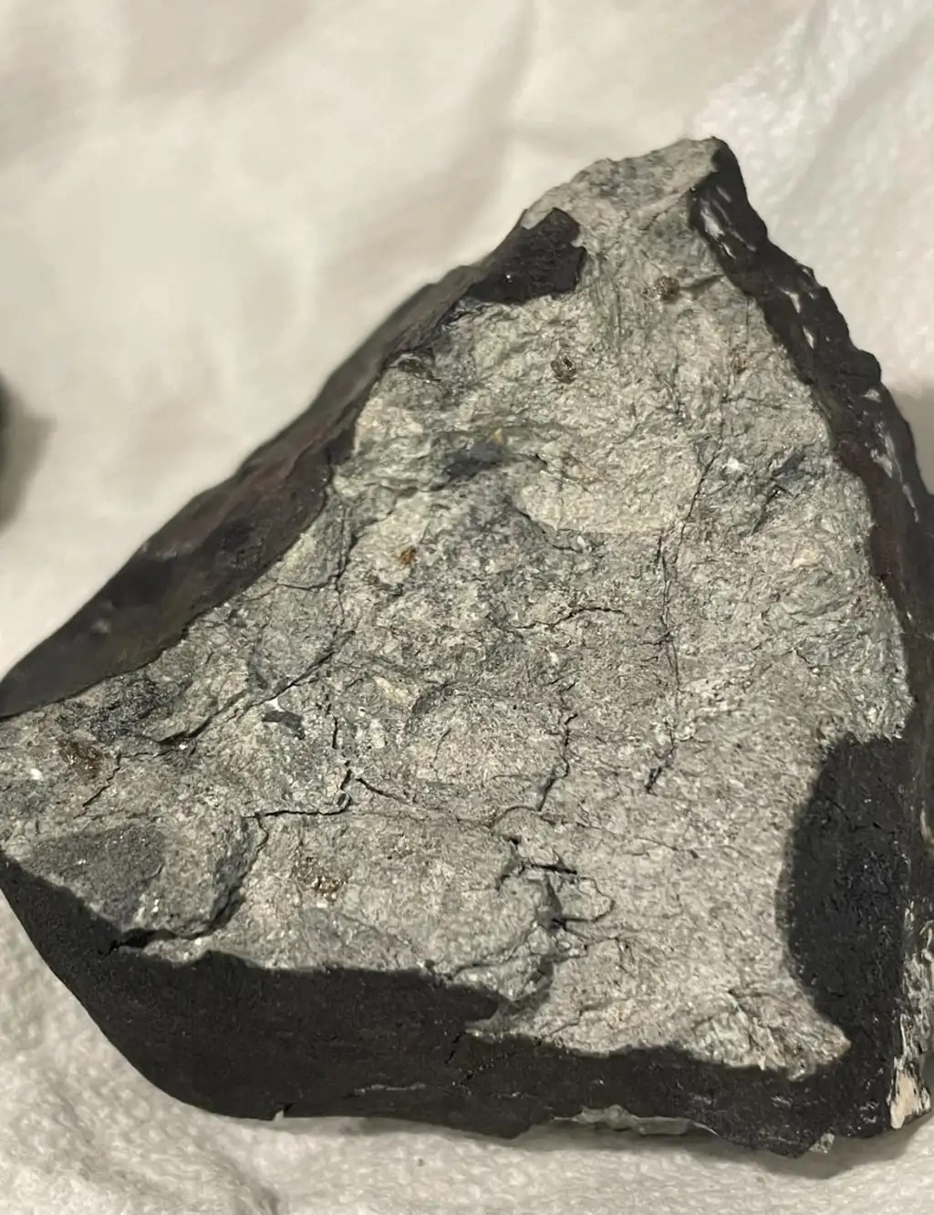 Figure 3- Main mass of 350 g discovered on January 1st by Sonny Clark and Terry. Credit : Sonny Clark