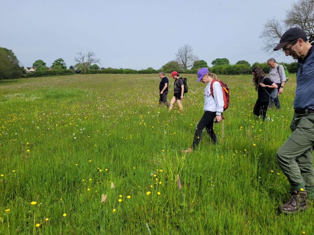 Figure 6- A team of more thzan 30 volunteers looked for the meteorites during 2,5 days. Credit: Jim Rowe